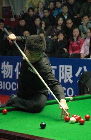 涯的风险 涯的风险