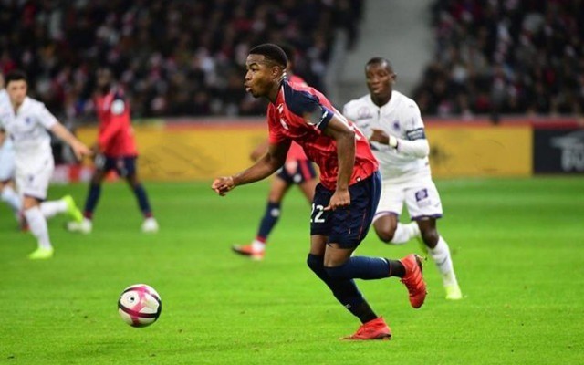 上达到新高 上达到新高