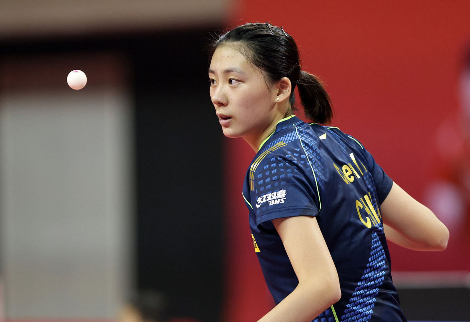 仅汇集了众 仅汇集了众